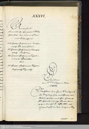 XXXVI., 11. November 1856