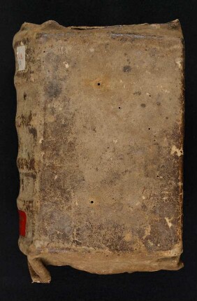 Lectionarium missae - Michael de Massa - Sermones - Johannes Müntzinger : Hdschr. 206
