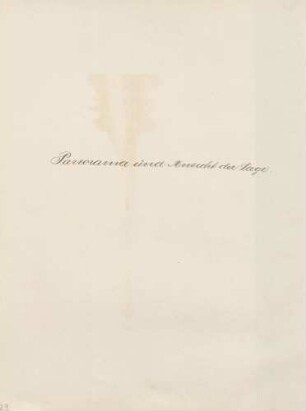 Textseite "Panorama und Ansicht der Lage"