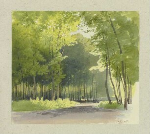 Waldpartie