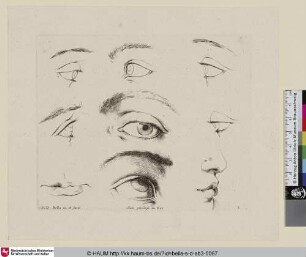 [Sieben Augenstudien und Studien von Nase und Mund; Sept yeux, ..., un profil de visage ... et une bouche; Seven studies of eyes with a study of a mouth ... and a profile ...]
