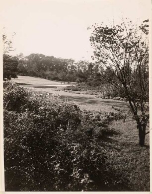 Reichsgartenschau 1939 auf dem Killesberg, Stuttgart: Staudenvergleichsschau