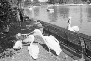 Spätsommertag im Karlsruher Stadtgarten
