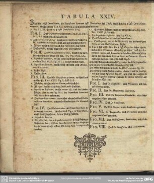 Tabula XXIV.