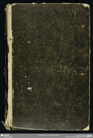 Historico-literaria et Saxonica - Mscr.Dresd.R.136 : [Miszellaneenband]