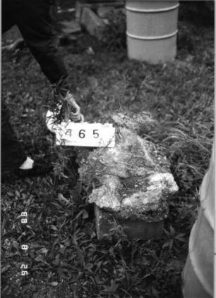 Grabstein 465 (Index: 100095282) Zustand: Fragment: Grabstein 465