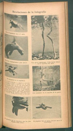 Revelaciones de la fotografía