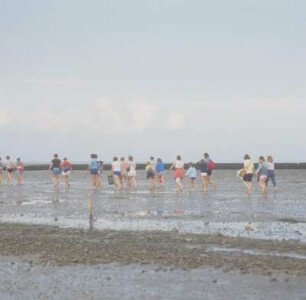 Husumer Bucht. Touristen bei einer Wattwanderung