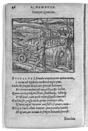 Semper ignauus.