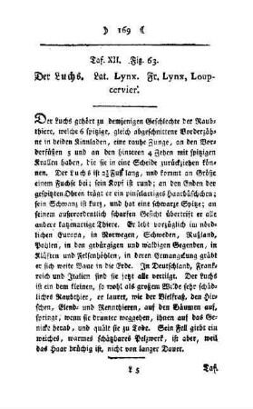 ¬Der¬ Luchs : Taf. XII, Fig. 63