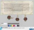 Burggraf Friedrich von Nürnberg sowie Johann und Friedrich, dessen Söhne, beurkunden, dass alle Streitigkeiten mit den Bürgern der Stadt Nurnberg wegen des neuen, hohen Turms bei der burggräflichen Veste, Erbauung von Teilen der Stadtmauer auf burggräflichen Lehen oder Erbe, Verbrennung des Dorfes Sittembach, Einbeziehung von Häusern, Fischgruben und Äckern beiderseits der Pegnitz in ihre Ringmauer und des Tores gegen Werde, dann wegen des Schulheißenamtes und -gerichtes zu Nürnberg, Dienste der Klöster etc. tot und ab sein sollen. - Siegler: die drei Aussteller.