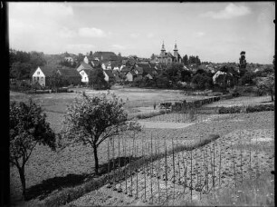 Walldürn Ortsbild mit der katholischen Stadtkirche Sankt Georg im Hintergrund