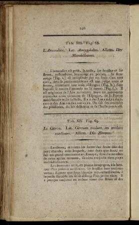 Tab. XIV. Fig. 69. - Tab. XVIII. Fig. 96.