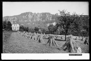 Blick auf die Bastei-Wände