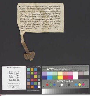 Seligenstadt: Gerhardo Archiepiscopi Moguntini ordinatio super viginti quatuor prebendas in monasterio Selgenstadensi