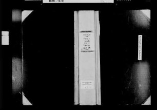 Wiesloch (Altwiesloch), evangelische (lutherisch und reformiert) und israelitische Gemeinde: Standesbuch 1851-1856