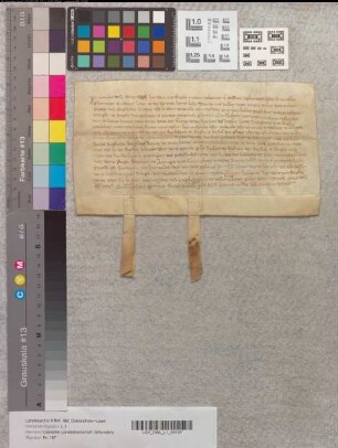 Ritter Cort von Bega überträgt mit Konsens seines Bruders, dem gleichnamigen Knappen, der dortigen Peterskirche ein in Bega gelegenes Gut zur Bauunterhaltung der Kirche.
