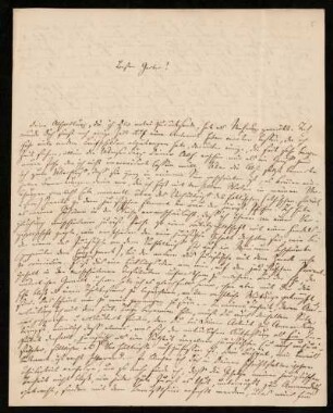 Nr. 5: Brief von Rudolf von Jhering an Carl Friedrich Wilhelm von Gerber, Gießen, 2.1.1855