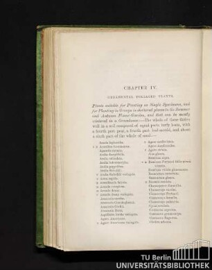 Chapter IV. Ornamental foliaged plants.
