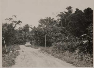 Venezuela. Urwald von Urama