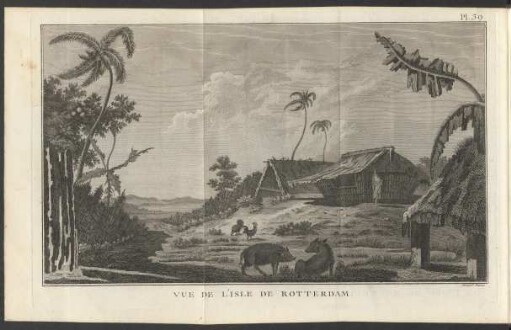 Pl. 39 Vue De L'Isle De Rotterdam.