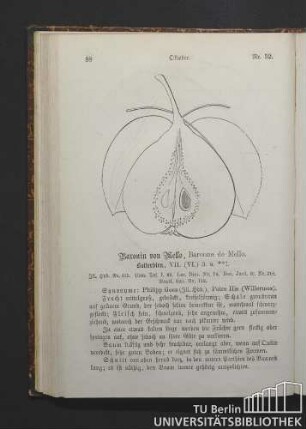 Nr. 52. October. Baronin von Mello, Baronne de Mello. Butterbirn.