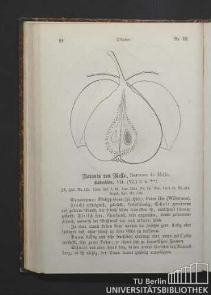 Nr. 52. October. Baronin von Mello, Baronne de Mello. Butterbirn.