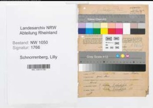 Entnazifizierung Lilly Schnorrenberg , geb. 16.12.1909 (Gastwirtin)