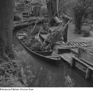 Bauer beim Beladen eines Kahns im Spreewald