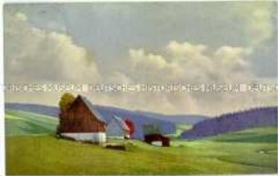 Ansicht einer Wiesenlandschaft mit Zaunhaus in Rehefeld