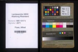 Entnazifizierung Alfred Flues , geb. 30.05.1903 (Schlosser)