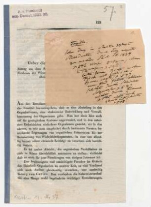 Publikationsfragment und Notiz zur Zoologie