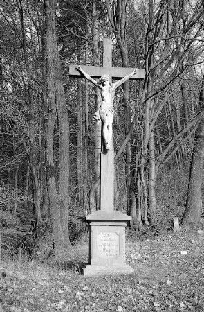 Wegekreuz (Wegekreuz); Nüsttal, Am Burkhards