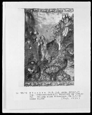 Ottheinrichsbibel — Heilung eines Besessenen