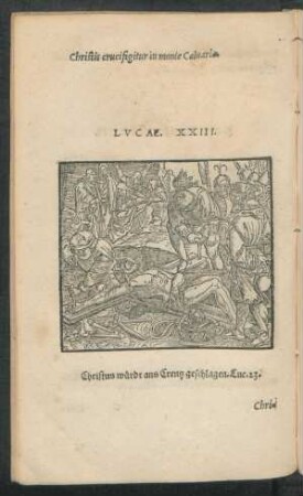 Lucae. XXIII.