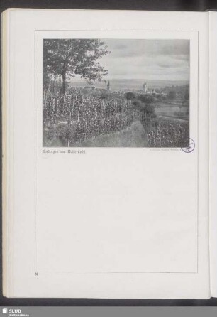 Endingen am Kaiserstuhl