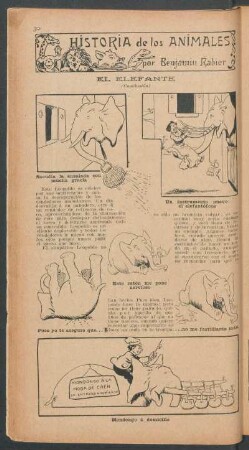 El elefante - (Conclusión) : Historia de los animales