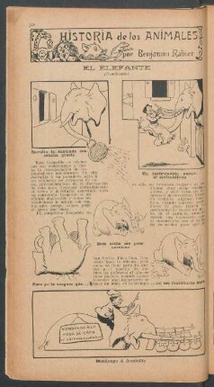 El elefante - (Conclusión) : Historia de los animales