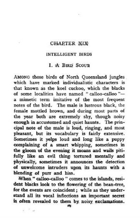 XIX. INTELLIGENT BIRDS
