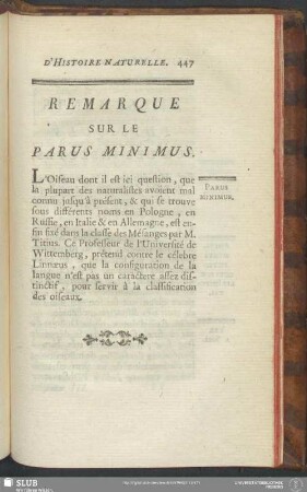 Remarque Sur Le Parus Minimus