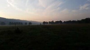 Morgen #04