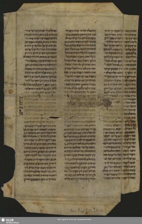 87: Aus einem Kommentar zum Talmud Bavli, Gittin - Mscr.Dresd.R.52.o,Nr.87 : [Fragment]