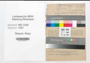 Entnazifizierung Rosa Strauch , geb. 20.01.1902 (Lehrerin)
