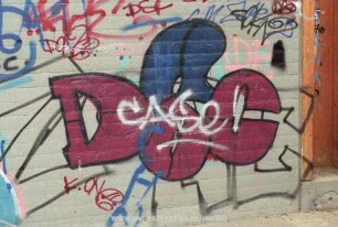 DSC
