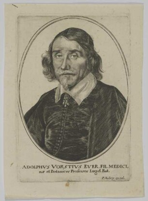 Bildnis des Adolphus Vorstius