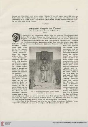 6: Burgruine Eppstein im Taunus, [2]