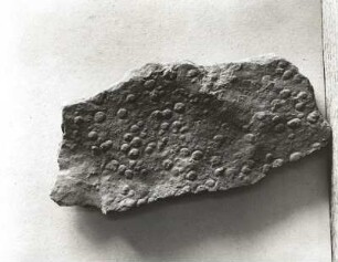 Regentropfenabdrücke in Buntsandstein von Crotenlaide bei Meerane