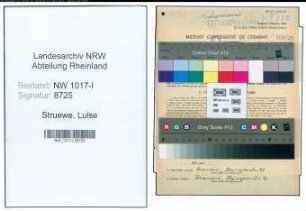 Entnazifizierung Luise Struewe , geb. 02.05.1907 (Abteilungsleiterin)
