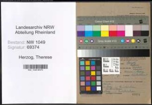 Entnazifizierung Therese Herzog , geb. 06.01.1903 ()
