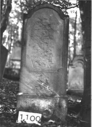 Grabstein 1100 (Index: 99899762) Material: Sandstein Zustand: stark verwittert Maße HxBxT: 128x53x9 cm Beschreibung: aufgesockelte Stele mit eingezogenem Rundbogenabschluss: Grabstein 1100